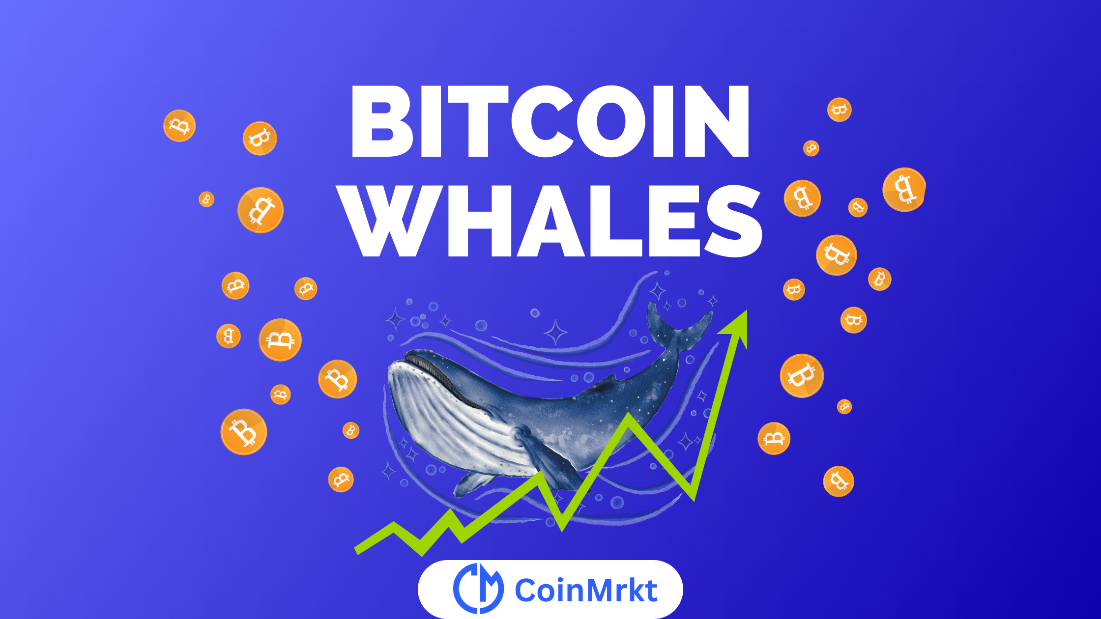 bitcoin whales in 2024